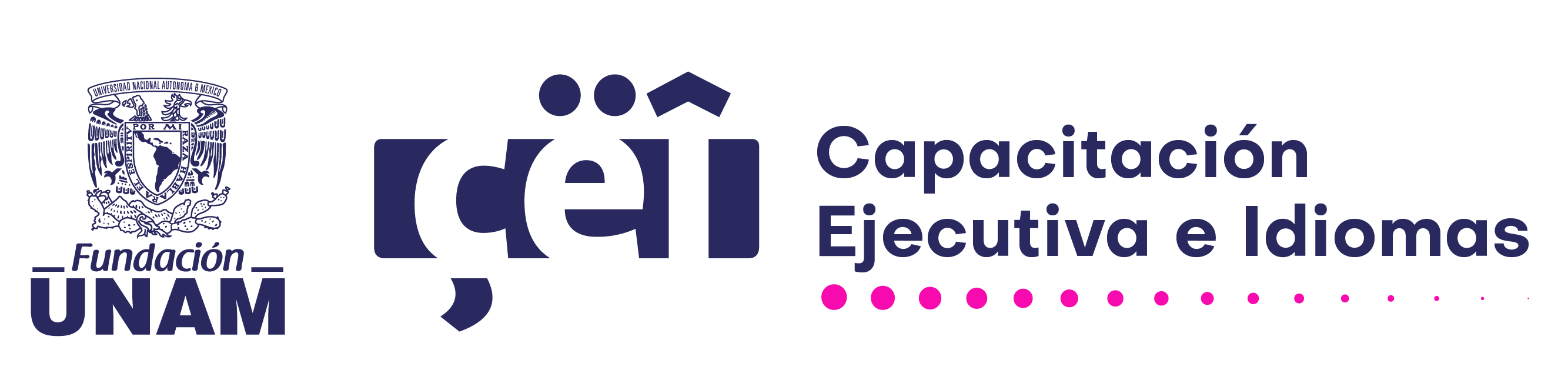 CEI Logo
